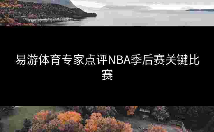 易游体育专家点评NBA季后赛关键比赛