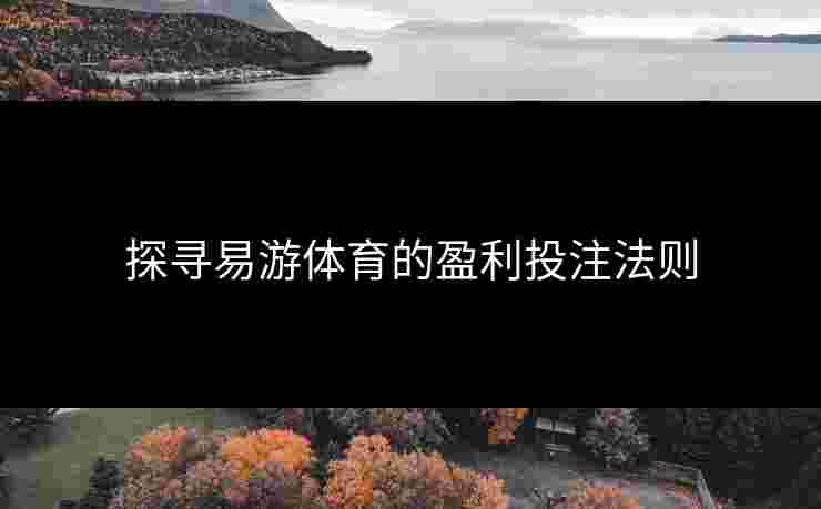 探寻易游体育的盈利投注法则