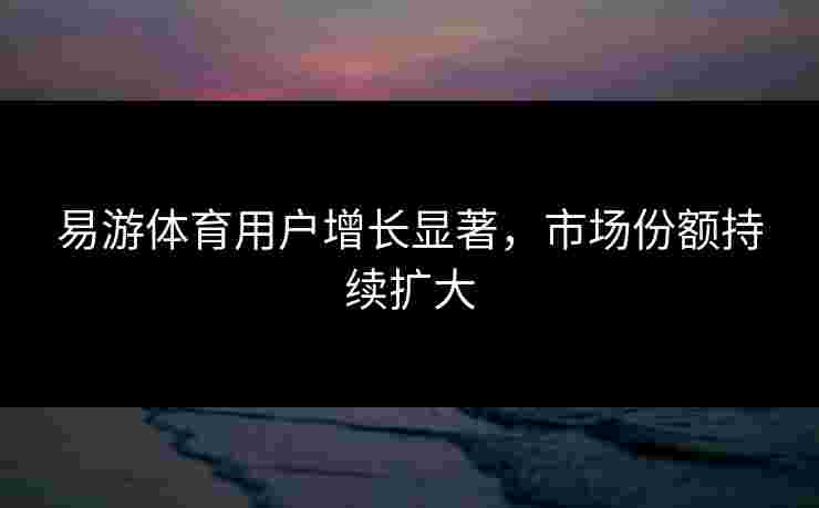易游体育用户增长显著，市场份额持续扩大