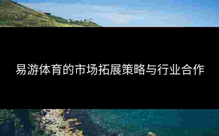 易游体育的市场拓展策略与行业合作