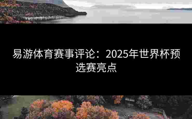 易游体育赛事评论：2025年世界杯预选赛亮点
