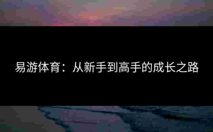 易游体育:从新手到高手的成长之路 易游体育:从新手到高手的成长之路